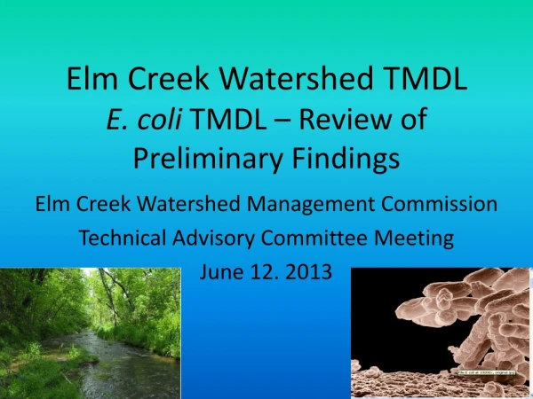 Elm Creek Watershed TMDL E. coli  TMDL – Review of Preliminary Findings