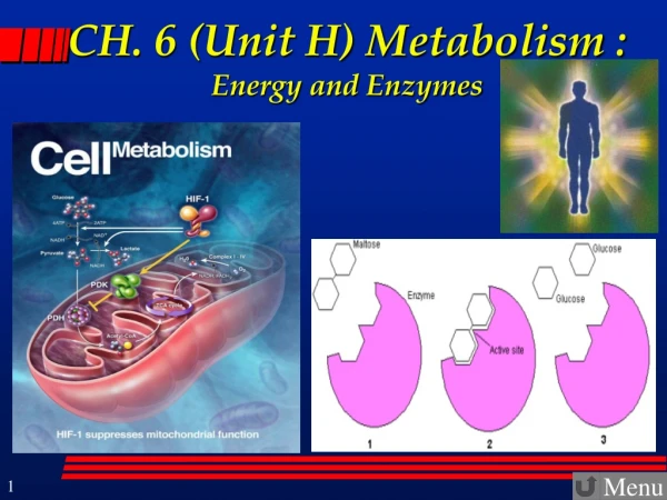 CH. 6 (Unit H) Metabolism :  Energy and Enzymes