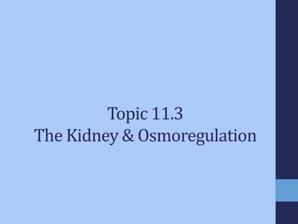 topic 11 3 the kidney osmoregulation
