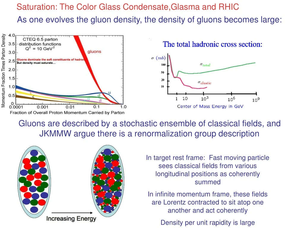 saturation the color glass condensate glasma
