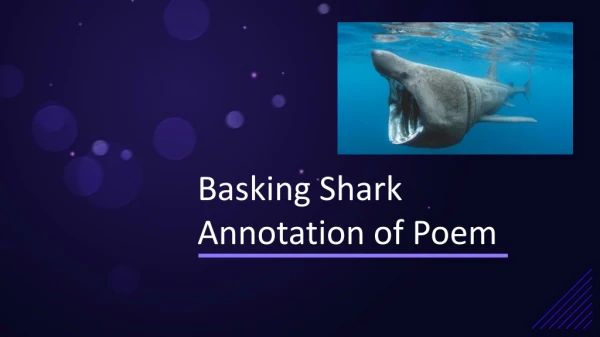 Basking Shark  Annotation of Poem