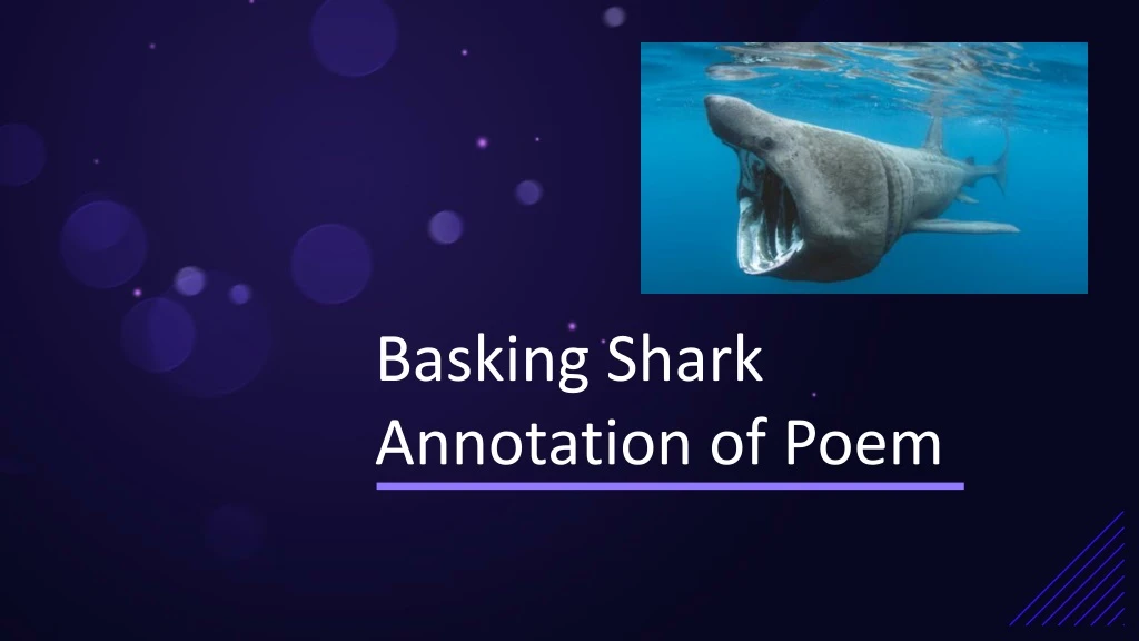 basking shark annotation of poem