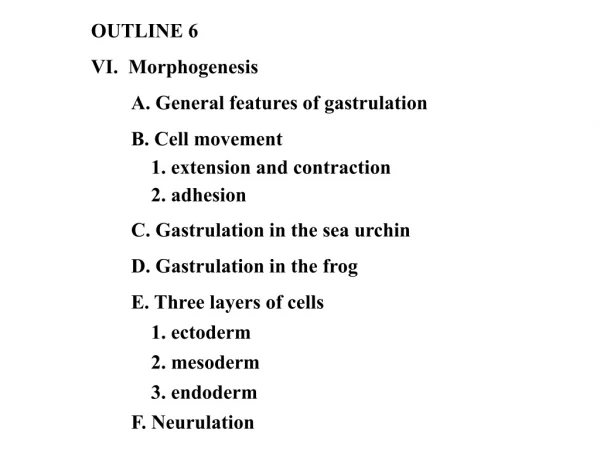 OUTLINE 6 VI.  Morphogenesis 	A. General features of gastrulation 	B. Cell movement