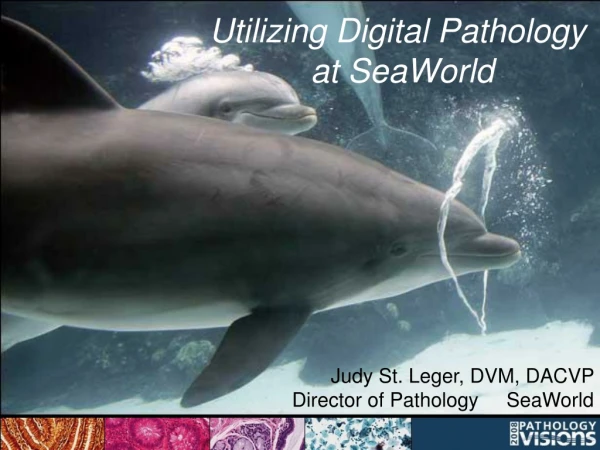Utilizing Digital Pathology  at SeaWorld