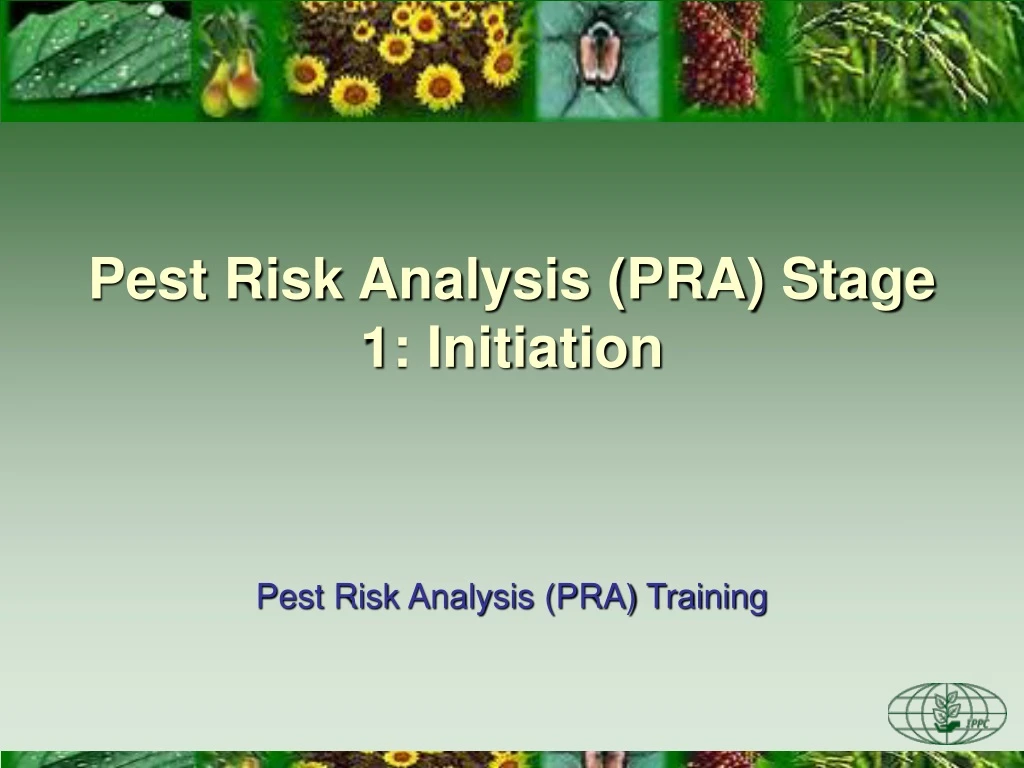 pest risk analysis pra stage 1 initiation