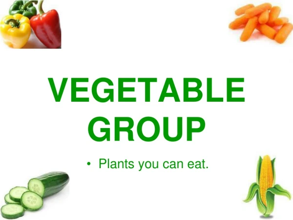 VEGETABLE GROUP