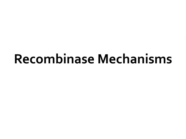 Recombinase Mechanisms