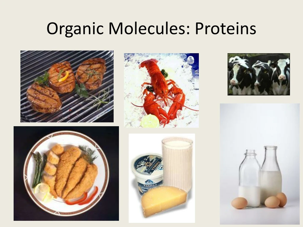 organic molecules proteins