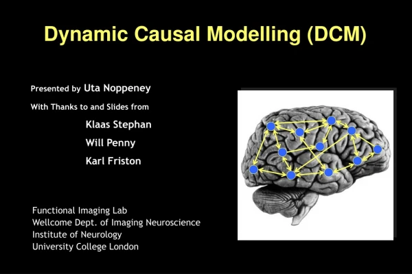 Dynamic Causal Modelling (DCM)