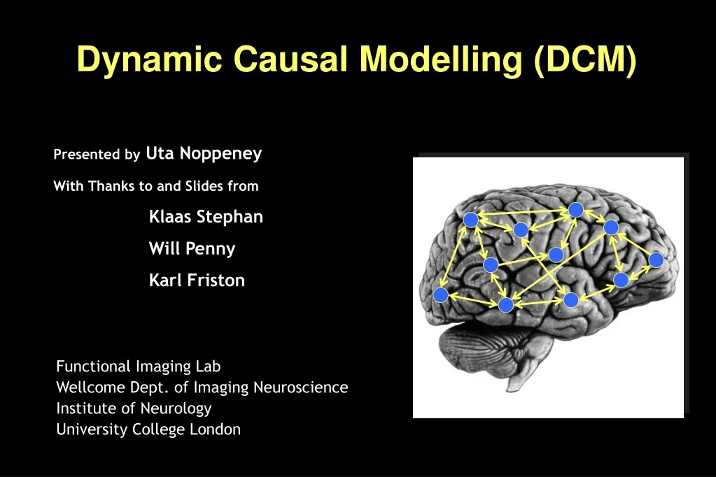 dynamic causal modelling dcm