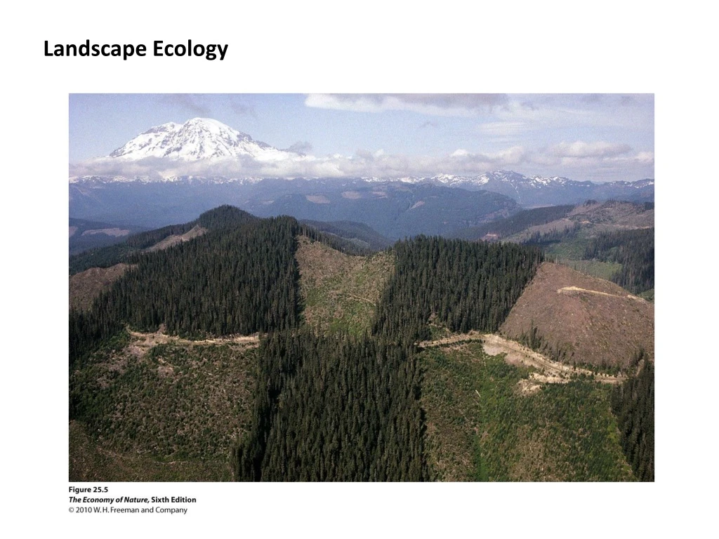 landscape ecology