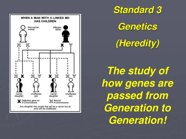 Standard 3 Genetics (Heredity)
