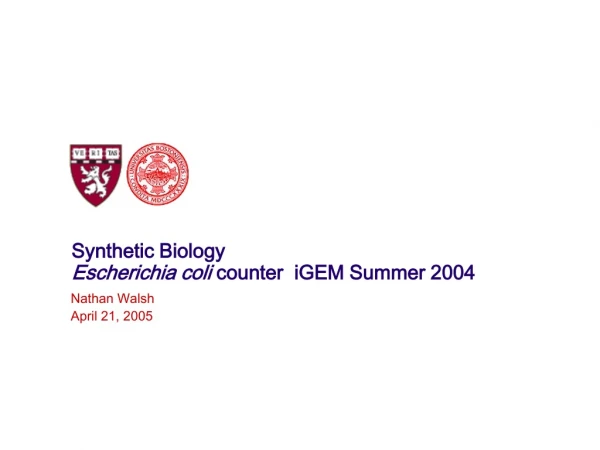 Synthetic Biology Escherichia coli  counter  iGEM Summer 2004