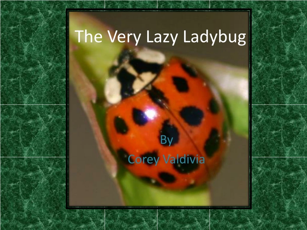 the very lazy ladybug