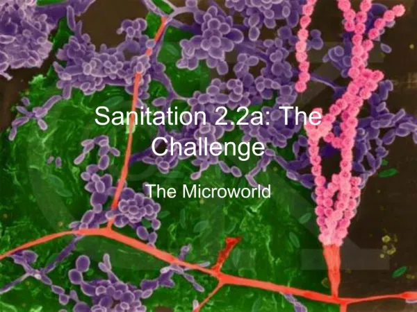 Sanitation 2.2a: The Challenge