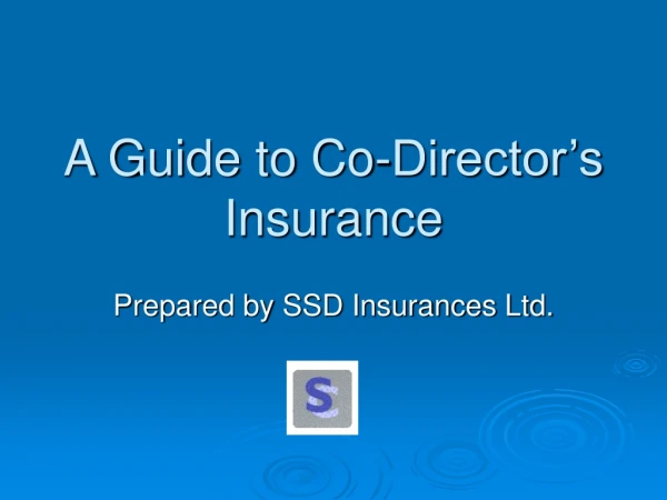 A Guide to Co-Director’s Insurance