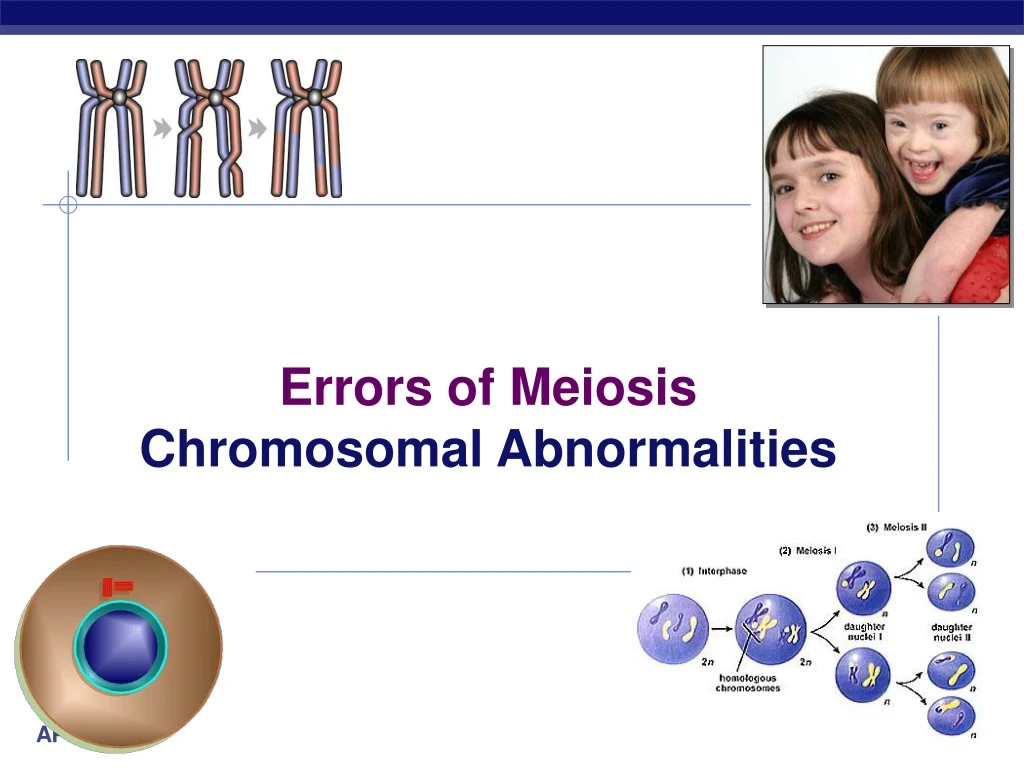 errors of meiosis chromosomal abnormalities