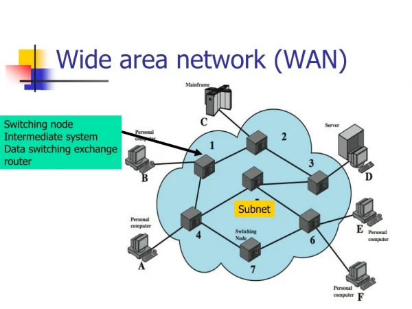 Wide area network (WAN)