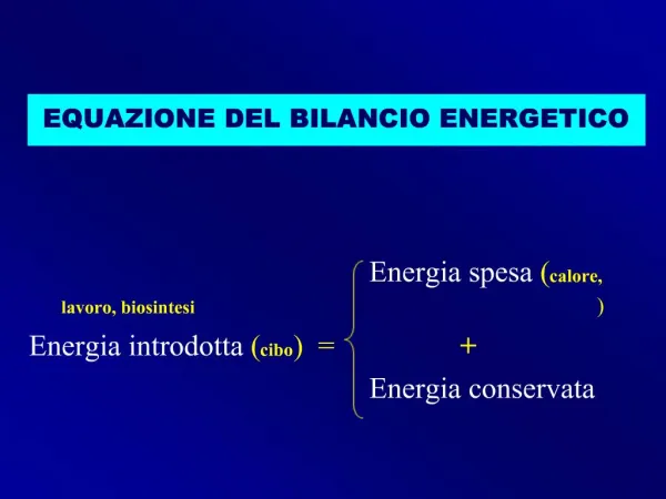 EQUAZIONE DEL BILANCIO ENERGETICO