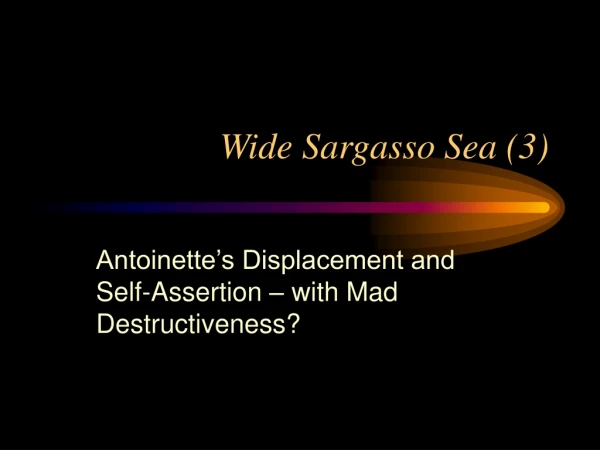 Wide Sargasso Sea (3)