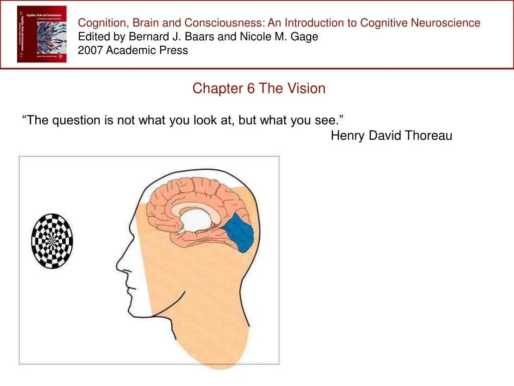 cognition brain and consciousness an introduction