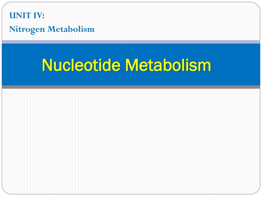 nucleotide metabolism