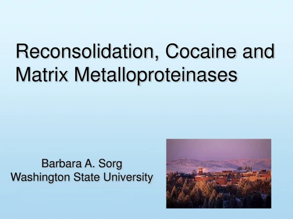 Reconsolidation, Cocaine and Matrix Metalloproteinases