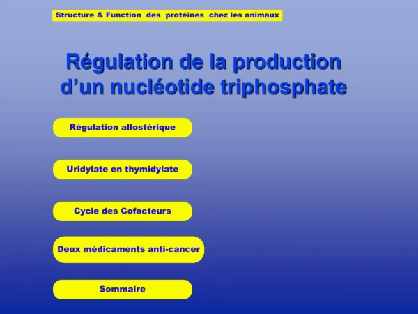 Régulation de la production   d’un nucléotide triphosphate