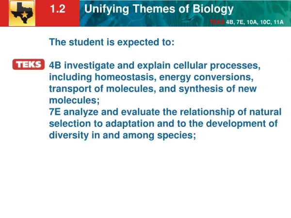KEY CONCEPT Unifying themes connect concepts from many fields of biology.