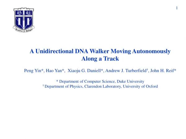 A Unidirectional DNA Walker Moving Autonomously Along a Track