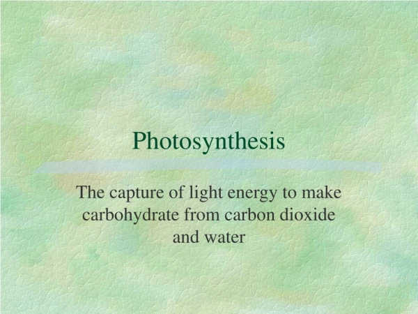 Photosynthesis