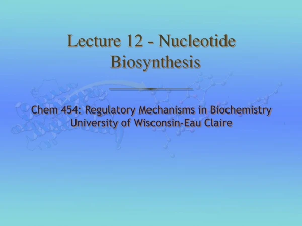 Lecture 12 - Nucleotide Biosynthesis