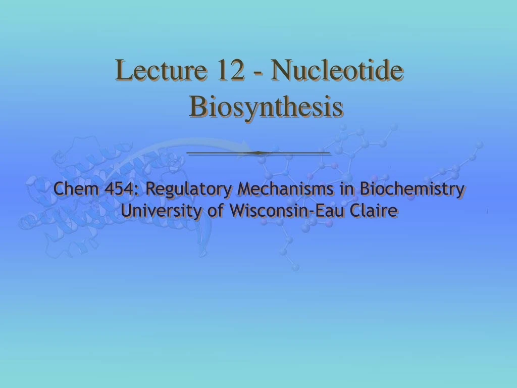 lecture 12 nucleotide biosynthesis