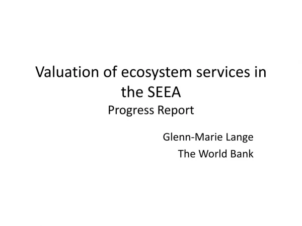 Valuation of ecosystem services in the SEEA Progress Report