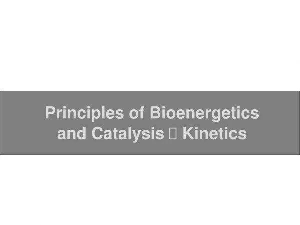 Principles of Bioenergetics and Catalysis   Kinetics