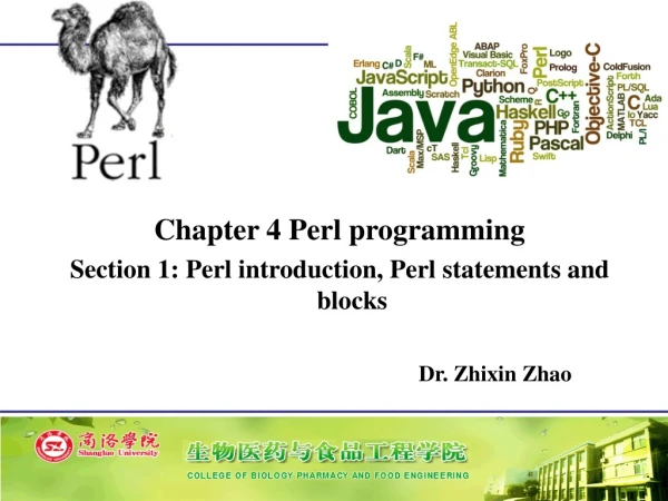 Chapter 4 Perl programming