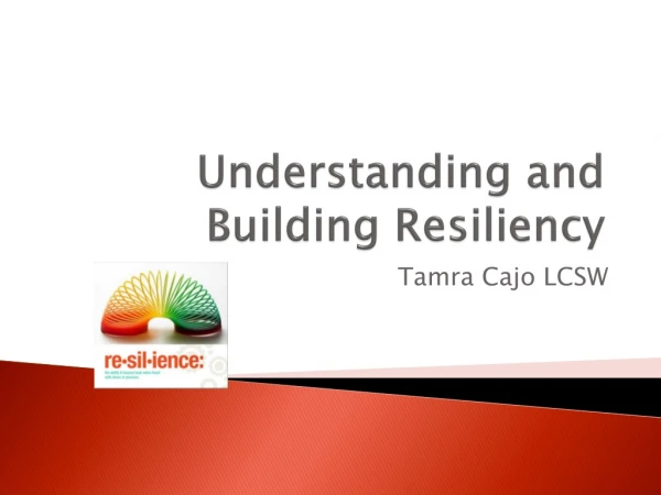 Understanding and Building Resiliency