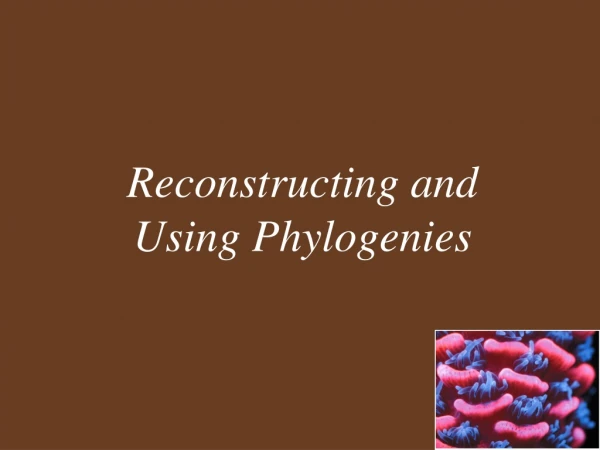 Reconstructing and Using Phylogenies