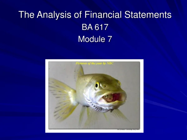 The Analysis of Financial Statements BA 617 Module 7