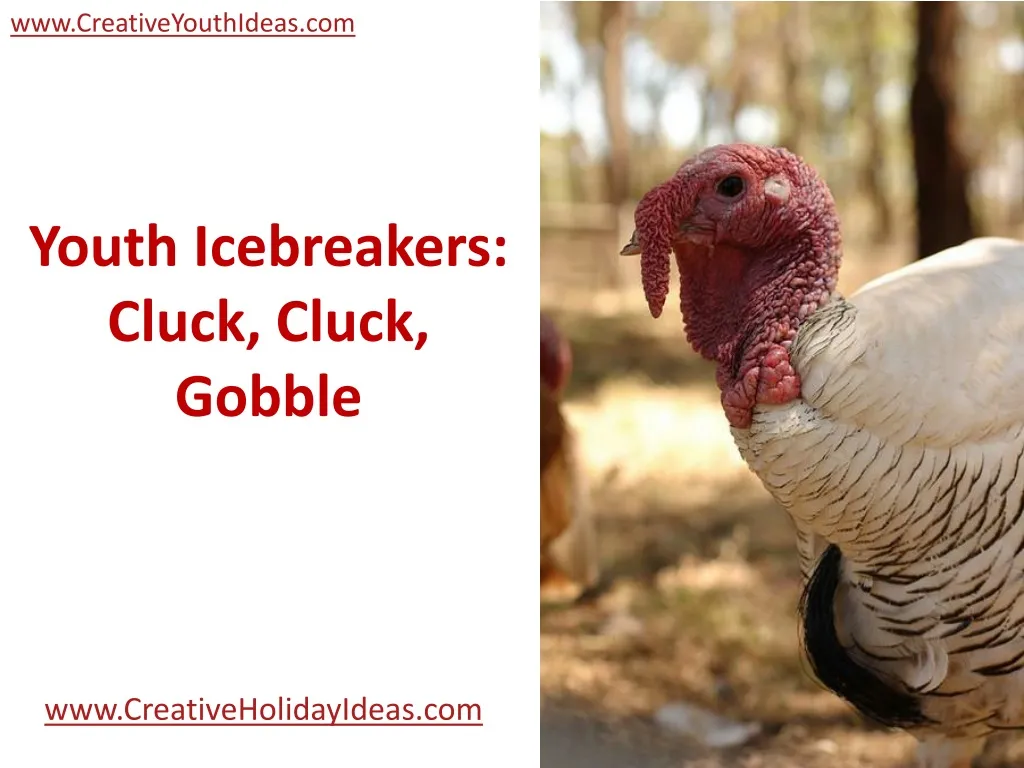 youth icebreakers cluck cluck gobble