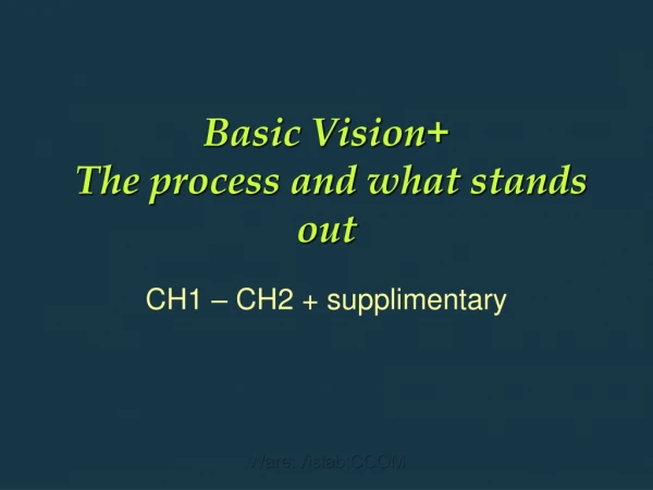 Basic Vision+  The process and what stands out