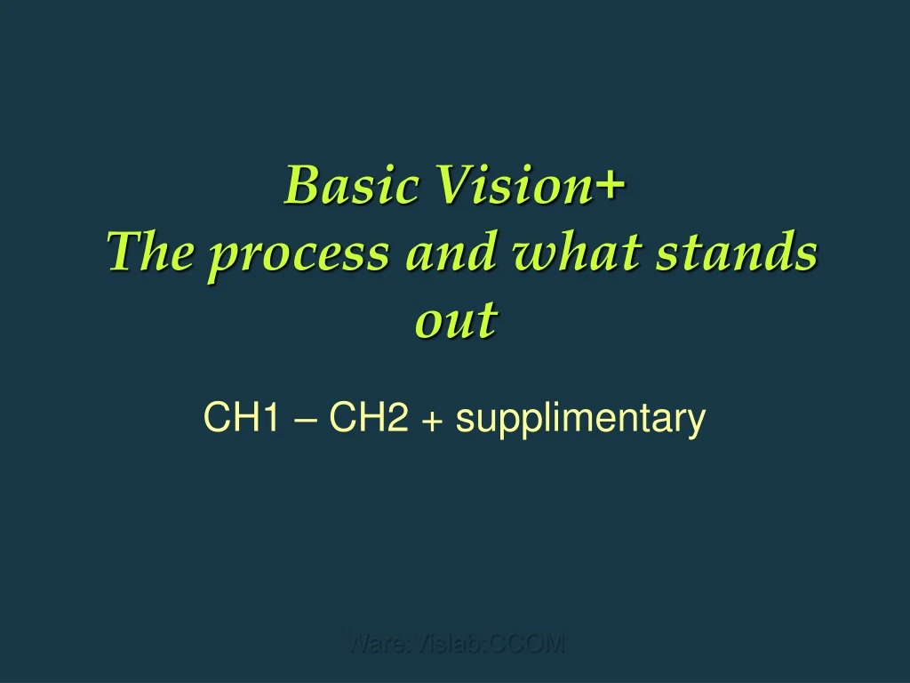 basic vision the process and what stands out