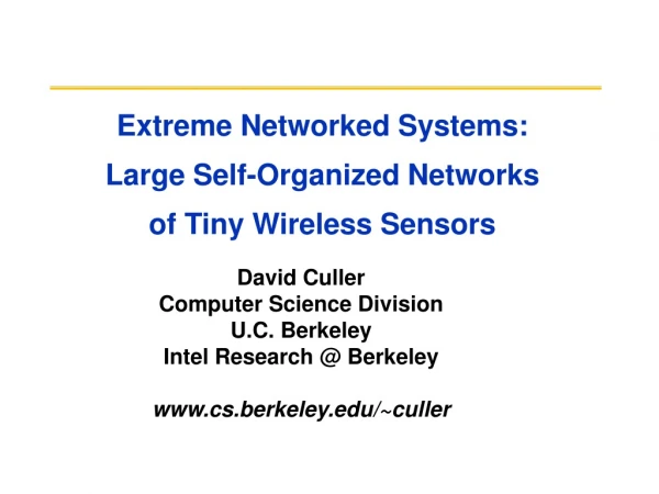 Extreme Networked Systems:  Large Self-Organized Networks of Tiny Wireless Sensors