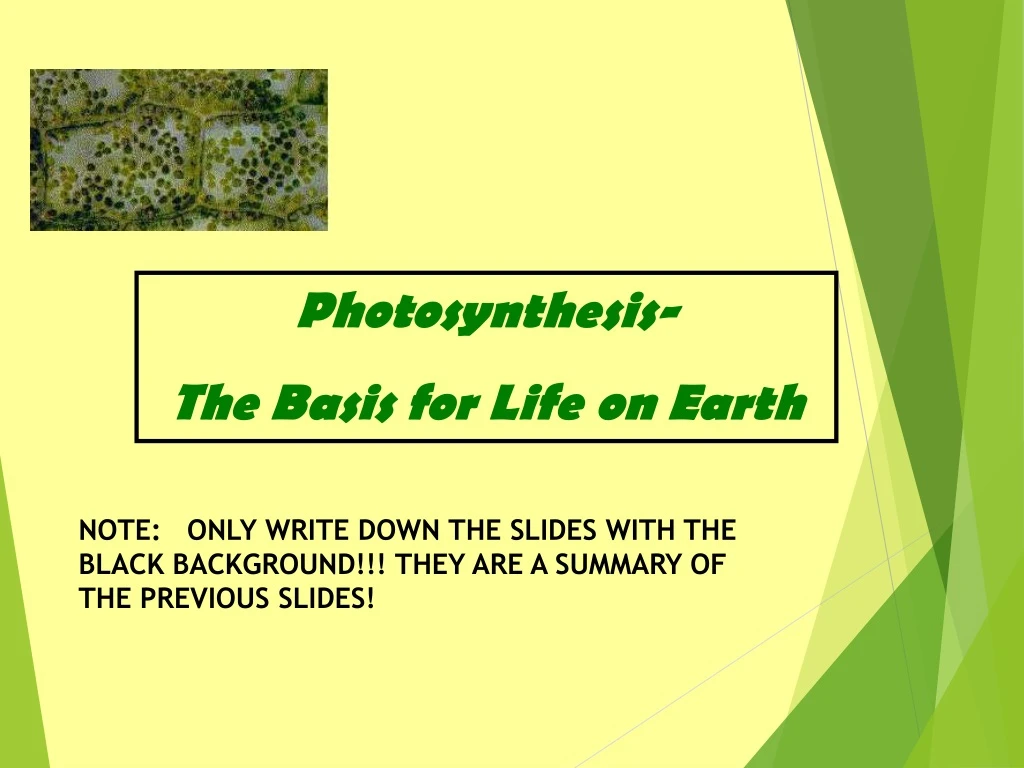 photosynthesis the basis for life on earth