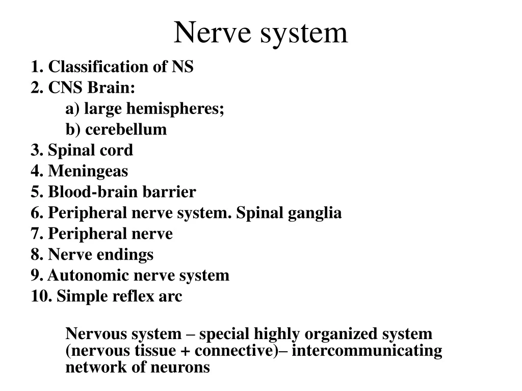 nerve system