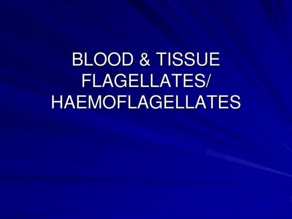 BLOOD &amp; TISSUE FLAGELLATES/ HAEMOFLAGELLATES
