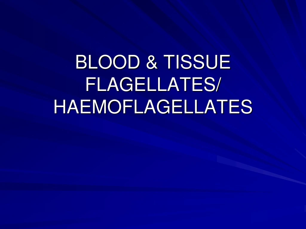 blood tissue flagellates haemoflagellates