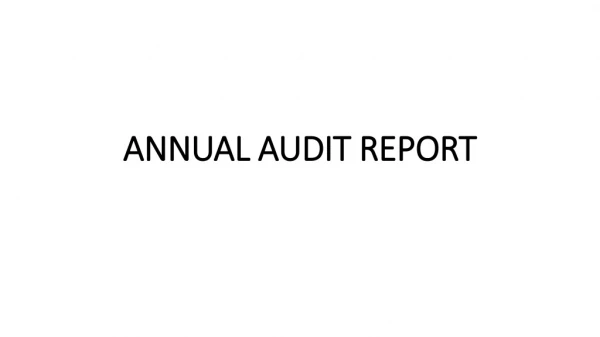 ANNUAL AUDIT REPORT