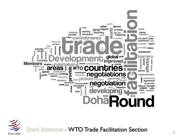 Sheri Rosenow  -  WTO Trade Facilitation Section