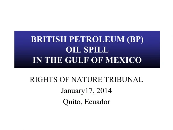 BRITISH PETROLEUM (BP)  OIL SPILL IN THE GULF OF MEXICO